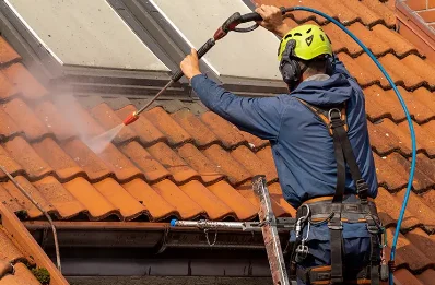 Démoussage et hydrofuge de toiture à Mespaul